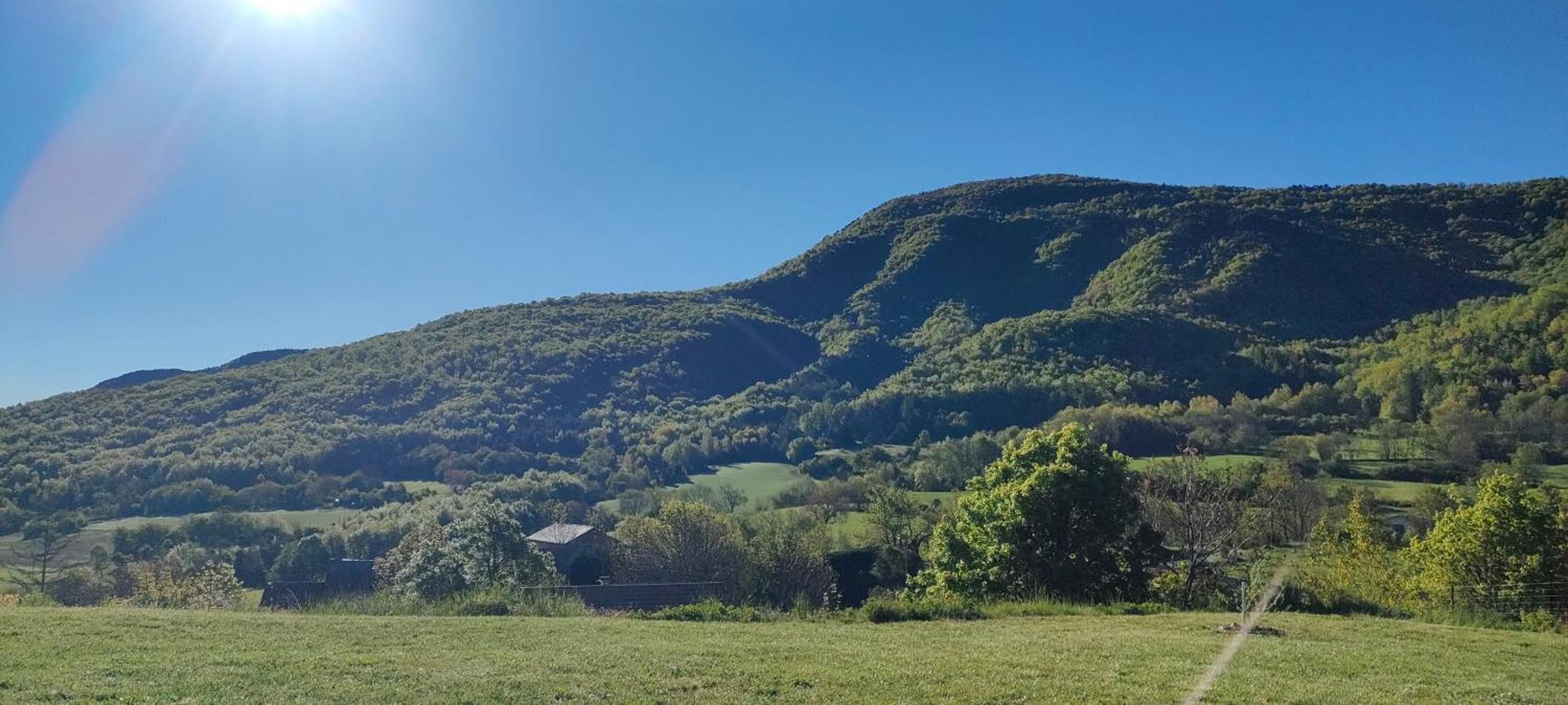 Au Toit Des 4 Saisons Venterol (Alpes-de-Haute-Provence) Exterior foto